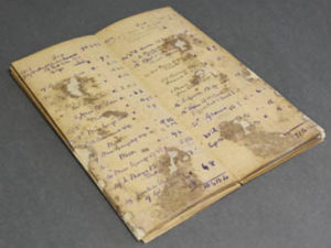 Read more about the article The Reuben Stone Farm Day Book